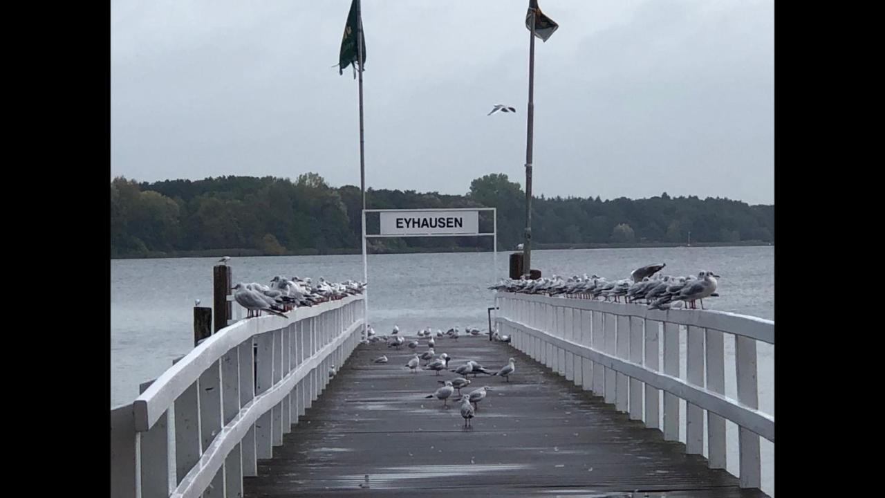 Moderne Am Yachthafen *